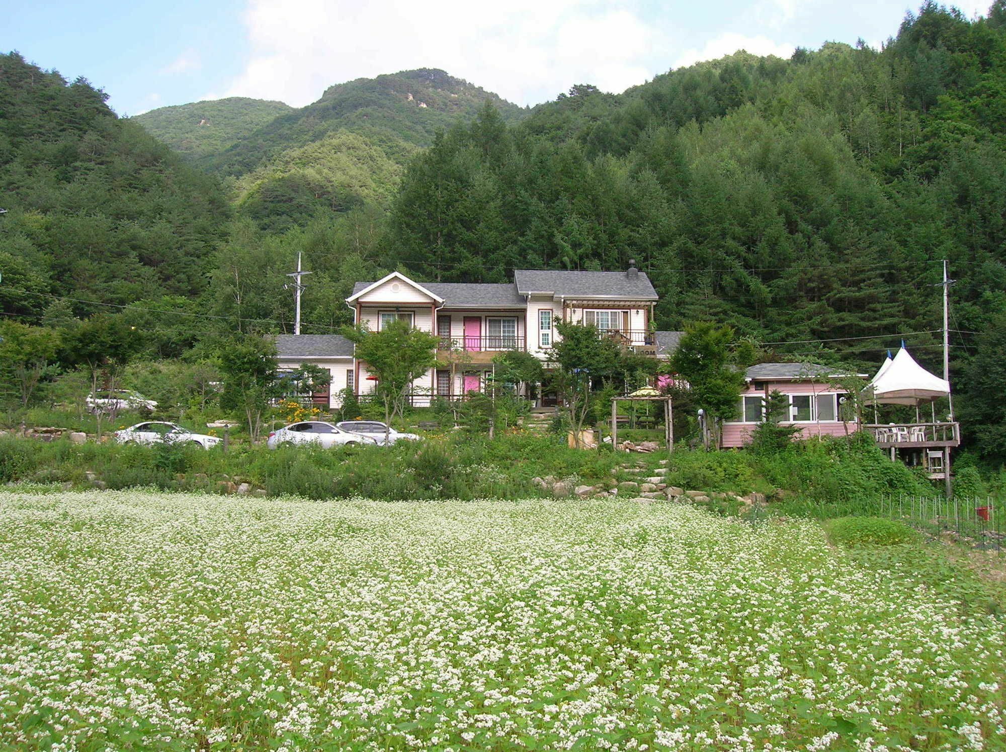 Geum Dang Lodge Yangpyeong Ngoại thất bức ảnh